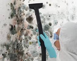 Best Mold Remediation for Healthcare Facilities in Daly City, CA